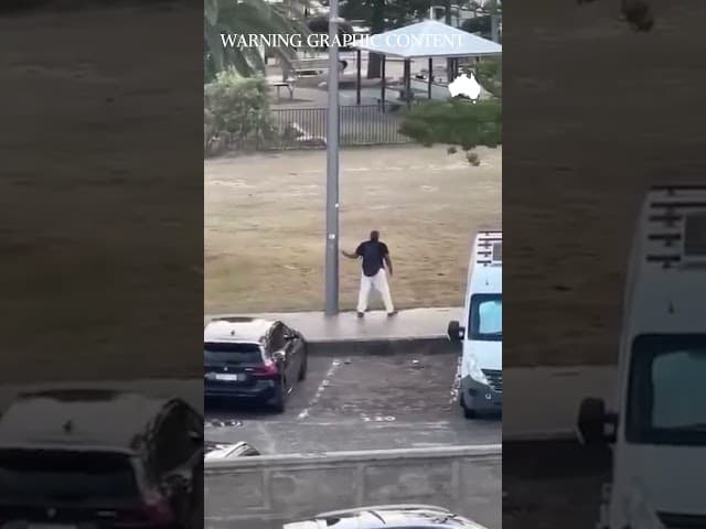 Bondi Shooter disarmed by hero bystander