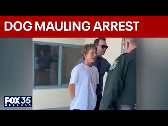 Cocoa dog owner jailed after fatal mauling of neighbor