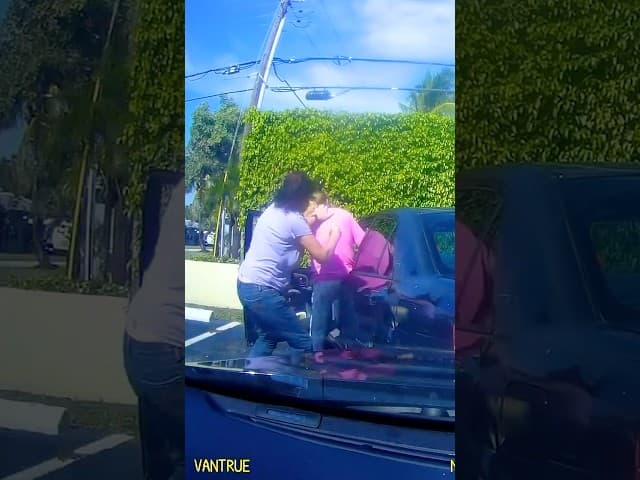 Savage Mom Stops Hit And Run Driver