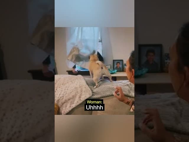 Woman Is Not Scared Of Intruder