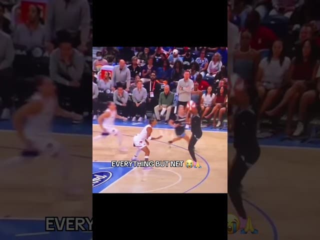u mean nothin but aiir????? #basketball #wnba #funny #meme #fyp